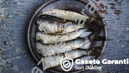 Dijital Koleksiyonculuk: Kripto-sanatın Yeni Yüzü