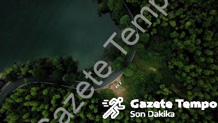 Cars 4 Ne Zaman Çıkacak?