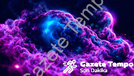 Cedar Berries Ne Demek?