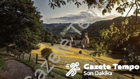 Castle Hawk Dolandırıcılığı