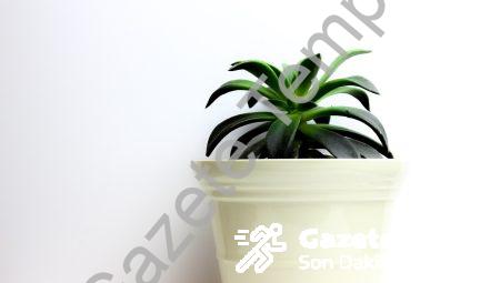 Clash of Clans 10 Seviye Köy Düzeni Kopyala