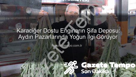 Karaciğer Dostu Enginarın Şifa Deposu: Aydın Pazarlarında Yoğun İlgi Görüyor