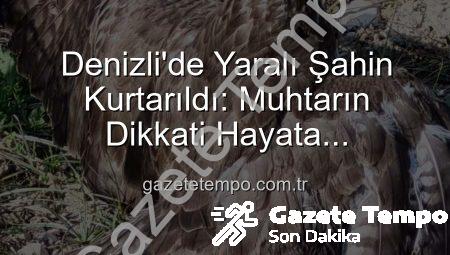 Denizli’de Yaralı Şahin Kurtarıldı: Muhtarın Dikkati Hayata Tutundurdu