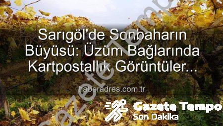 Sarıgöl’de Sonbahar Büyüsü: Üzüm Bağlarında Kartpostallık Manzaralar Eşliğinde Budama Çalışmaları Başladı