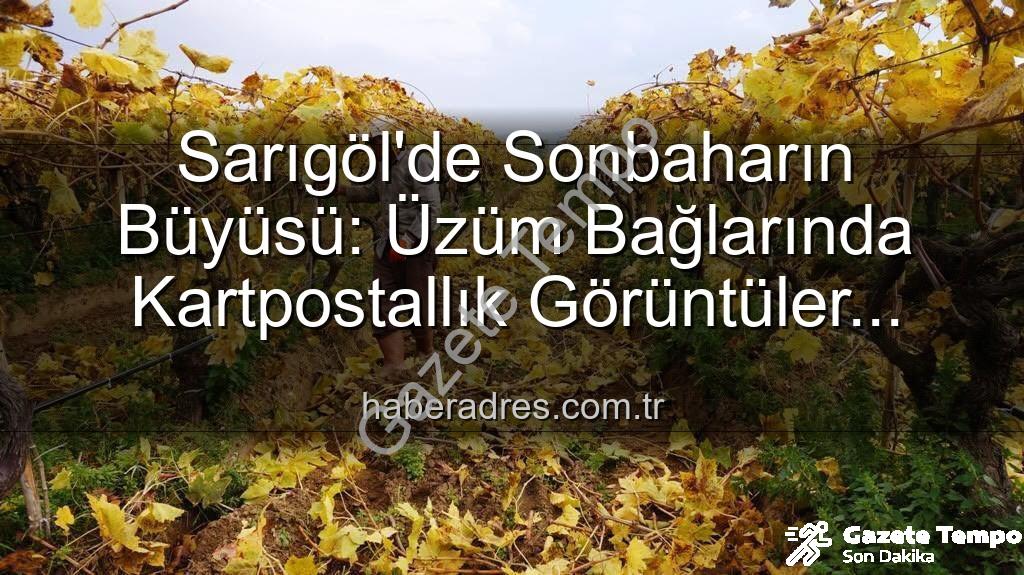 Sarıgöl üzüm bağları - Sarıgöl'de Sonbahar Büyüsü: Üzüm Bağlarında Kartpostallık Manzaralar Eşliğinde Budama Çalışmaları Başladı
