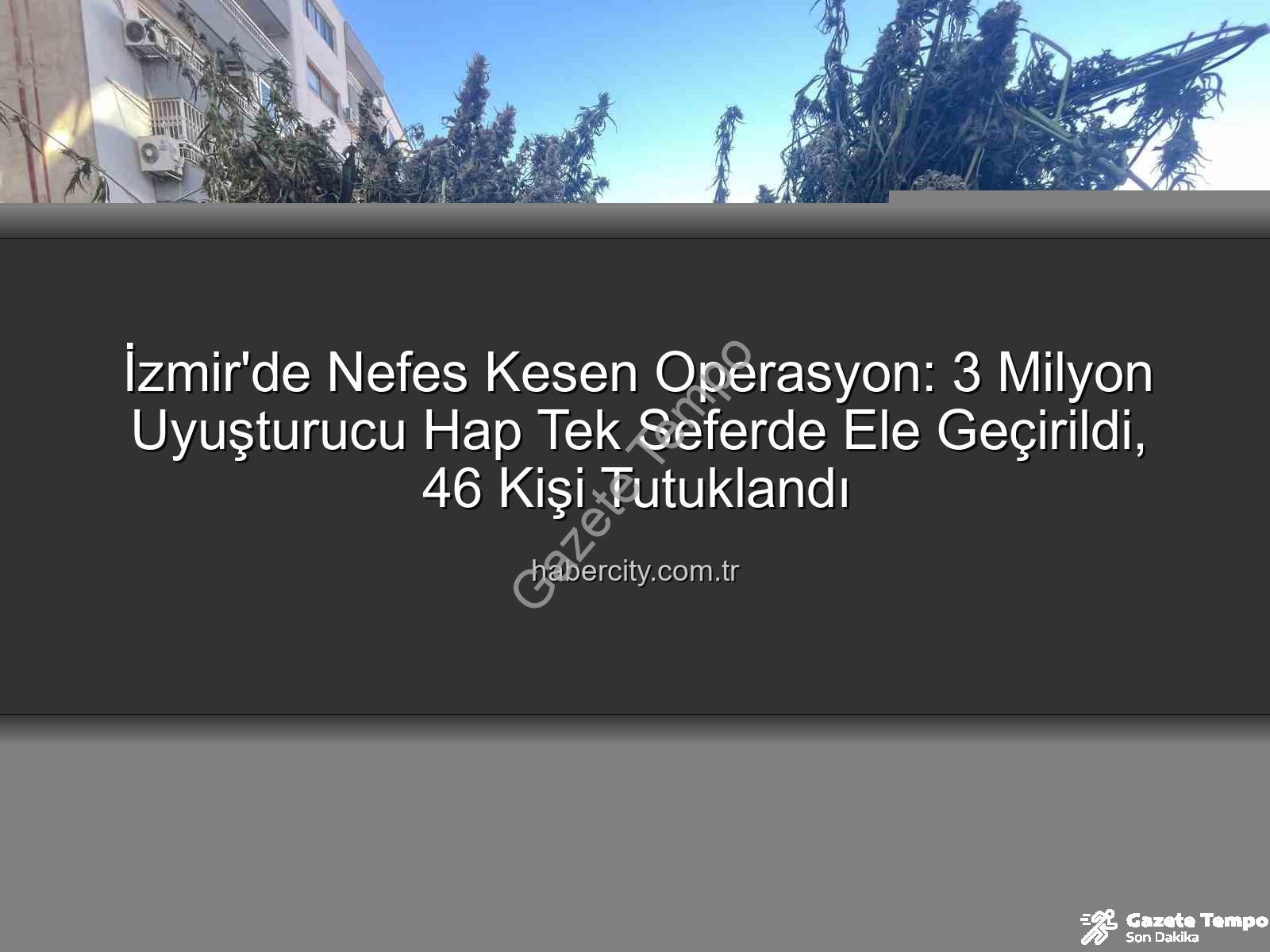 uyuşturucu hap - İzmir'de Nefes Kesen Operasyon: Tek Seferde 3 Milyon Uyuşturucu Hap Ele Geçirildi, 46 Kişi Tutuklandı