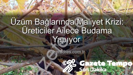 Budama Maliyeti Aileleri Bağlara İndirdi: Sarıgöl’de Üreticiler Çiftçilikte Yeni Bir Dönem Başlattı