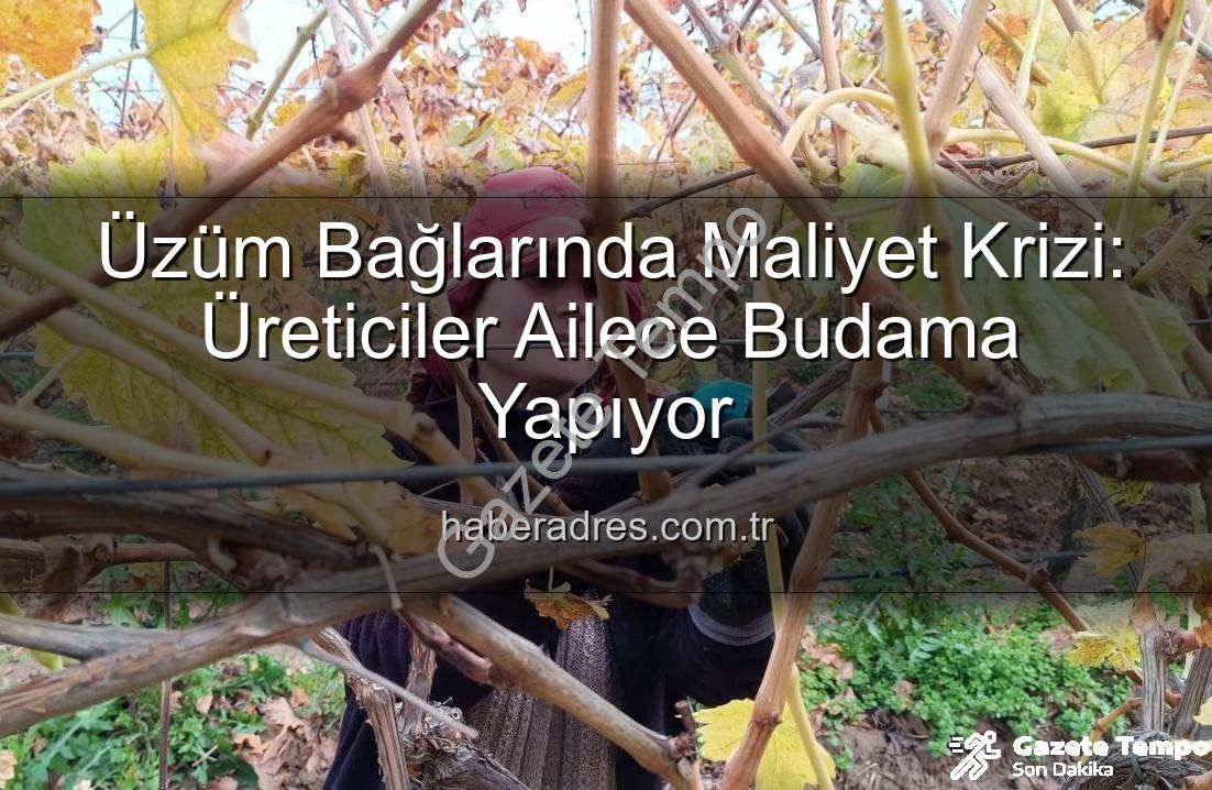 budama maliyeti - Budama Maliyeti Aileleri Bağlara İndirdi: Sarıgöl'de Üreticiler Çiftçilikte Yeni Bir Dönem Başlattı