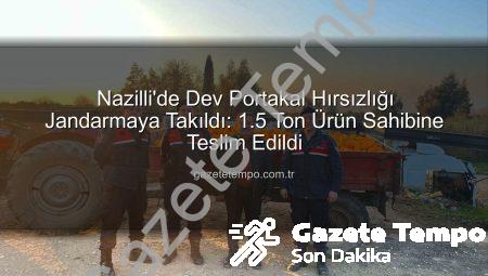 Nazilli’de Dev Portakal Hırsızlığı Jandarmaya Takıldı: 1.5 Ton Ürün Sahibine Teslim Edildi