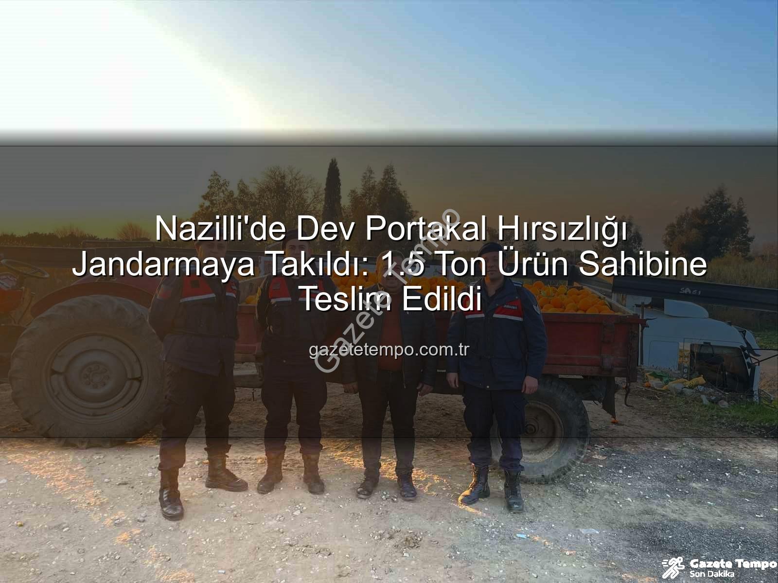 portakal hırsızlığı - Nazilli'de Dev Portakal Hırsızlığı Jandarmaya Takıldı: 1.5 Ton Ürün Sahibine Teslim Edildi