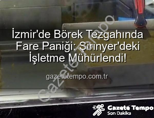 börek tezgahında fare - İzmir'de Börek Tezgahında Fare Paniği: Şirinyer'deki İşletme Mühürlendi!