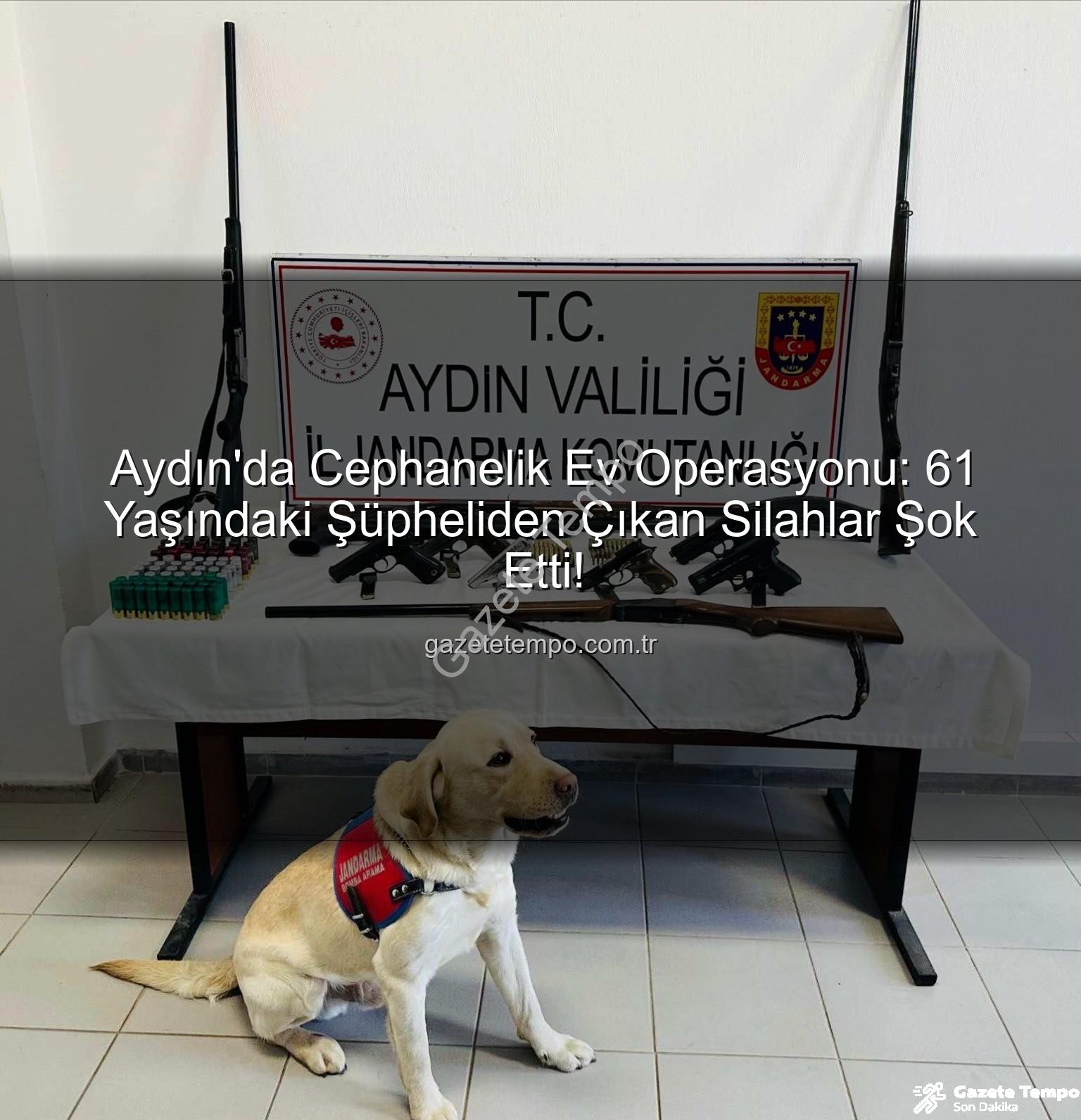 ruhsatsız silah - Aydın'da Cephanelik Ev Operasyonu: 61 Yaşındaki Şüpheliden Çıkan Silahlar Şok Etti!