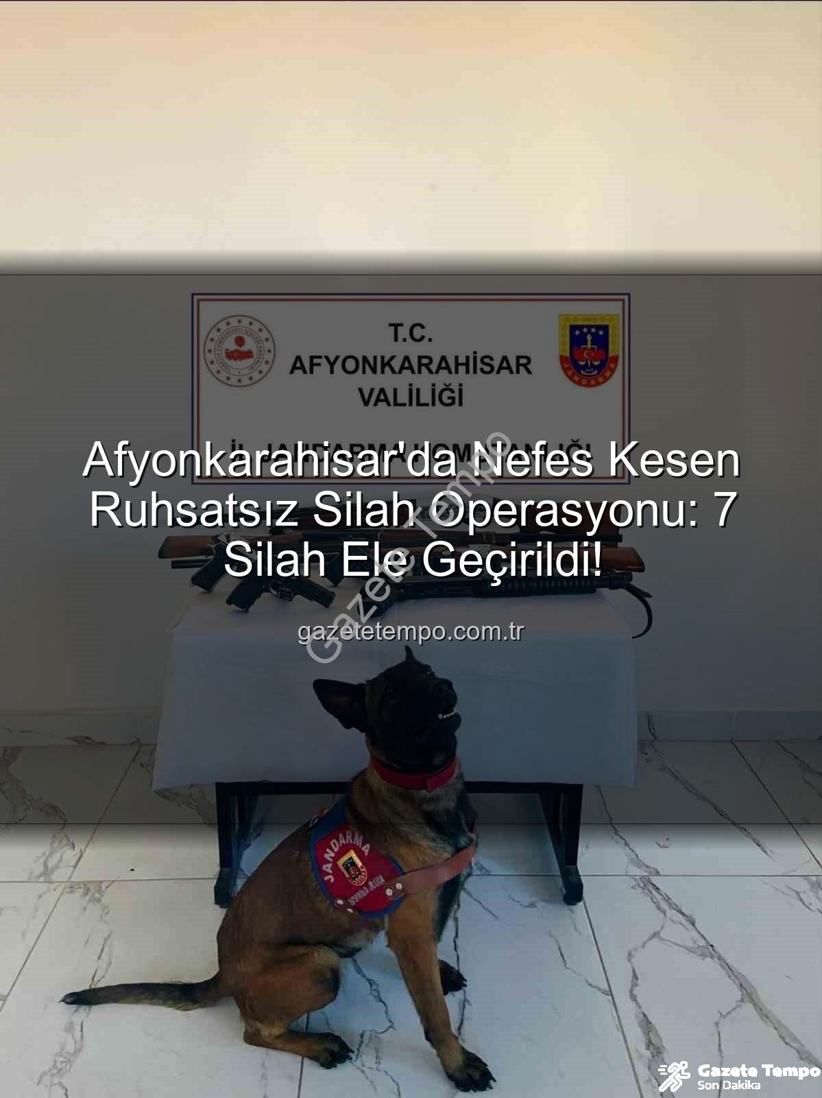 ruhsatsız silah operasyonu - Afyonkarahisar'da Nefes Kesen Ruhsatsız Silah Operasyonu: 7 Silah Ele Geçirildi!