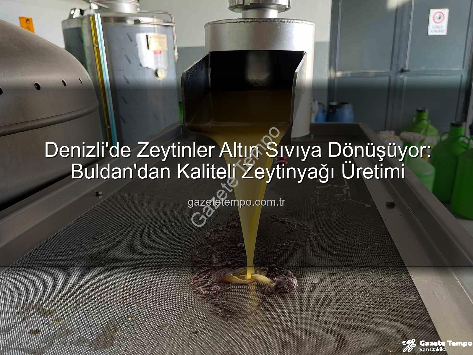 Denizli'de Zeytinler Altın Sıvıya Dönüşüyor: Buldan'dan Kaliteli Zeytinyağı Üretimi