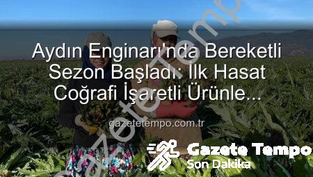 Aydın Enginarı’nda Bereketli Sezon Başladı: İlk Hasat Coğrafi İşaretli Ürünle Taçlandı