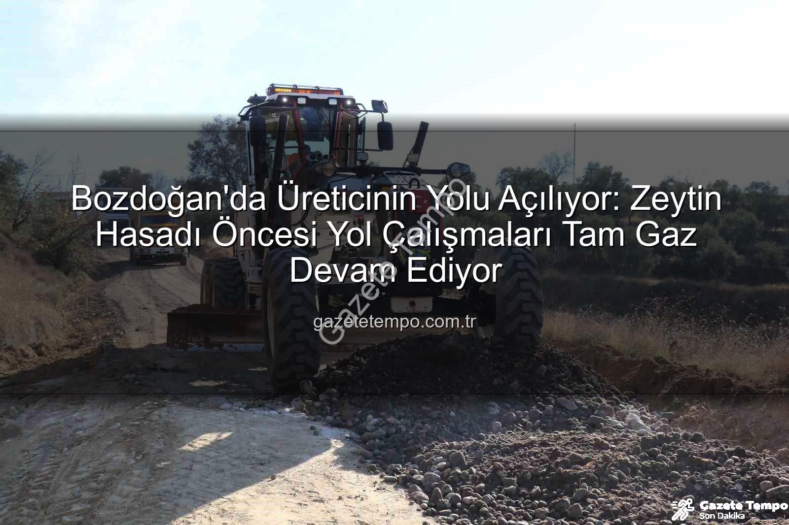 Bozdoğan yol çalışmaları - Bozdoğan'da Üreticinin Yolu Açılıyor: Zeytin Hasadı Öncesi Yol Çalışmaları Tam Gaz Devam Ediyor