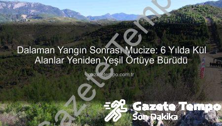Dalaman Yangın Sonrası Mucize: 6 Yılda Kül Alanlar Yeniden Yeşil Örtüye Bürüdü