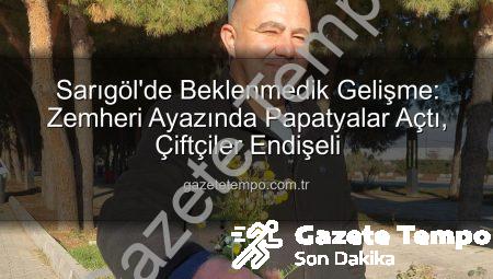 Sarıgöl’de Beklenmedik Gelişme: Zemheri Ayazında Papatyalar Açtı, Çiftçiler Endişeli